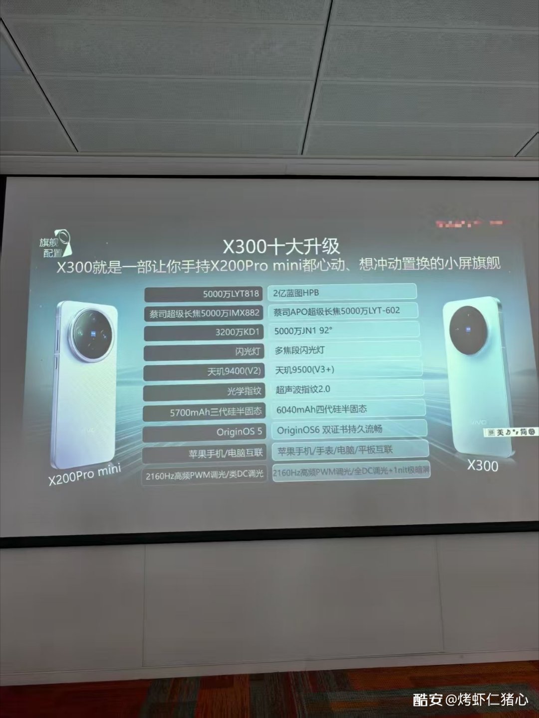 后天vivo X300就要发布了，看看这个参数靠谱不？[doge] ​​​