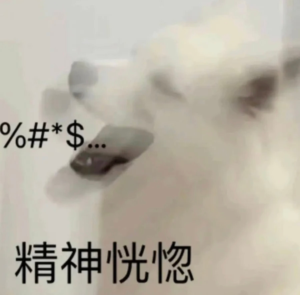 读完了整本才发现老师在syllabus上的要求只需要读Chapter One