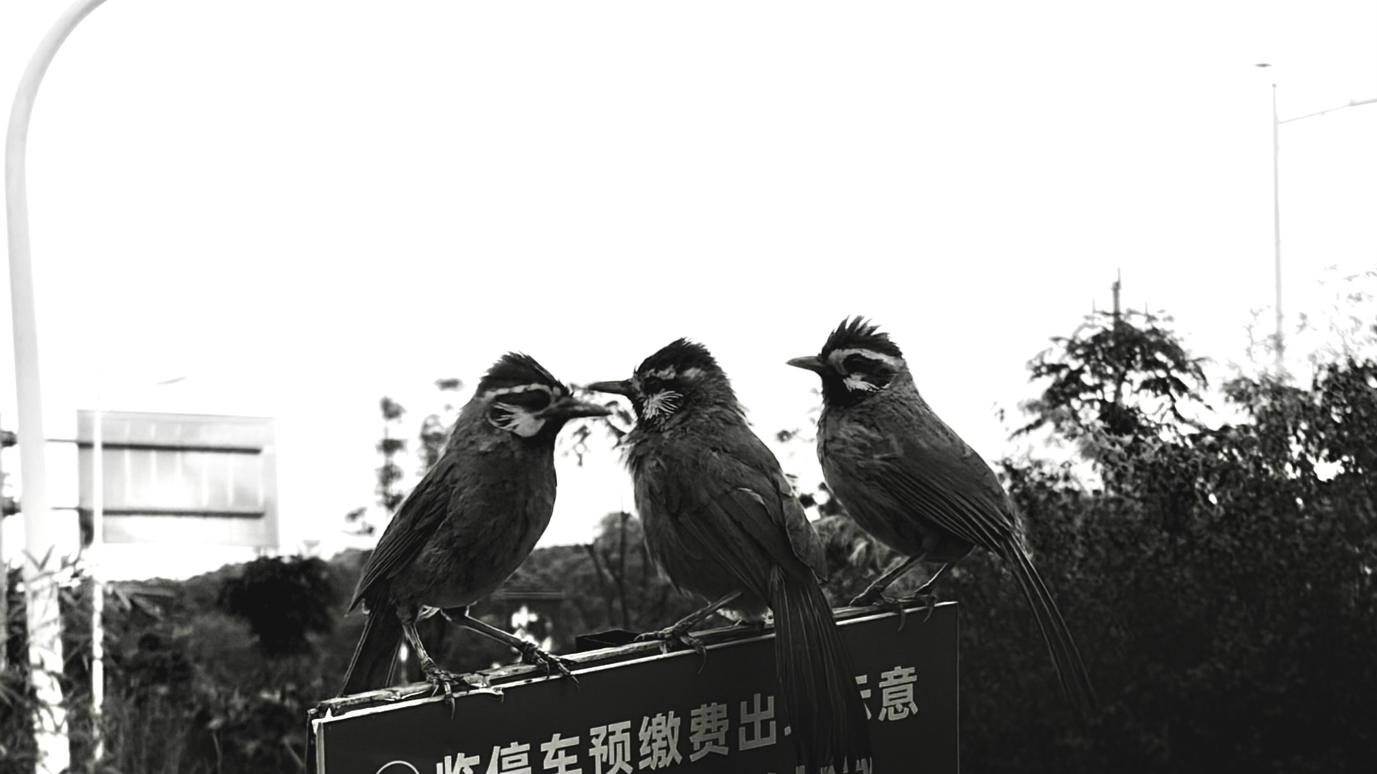 今天，你快乐吗？ 