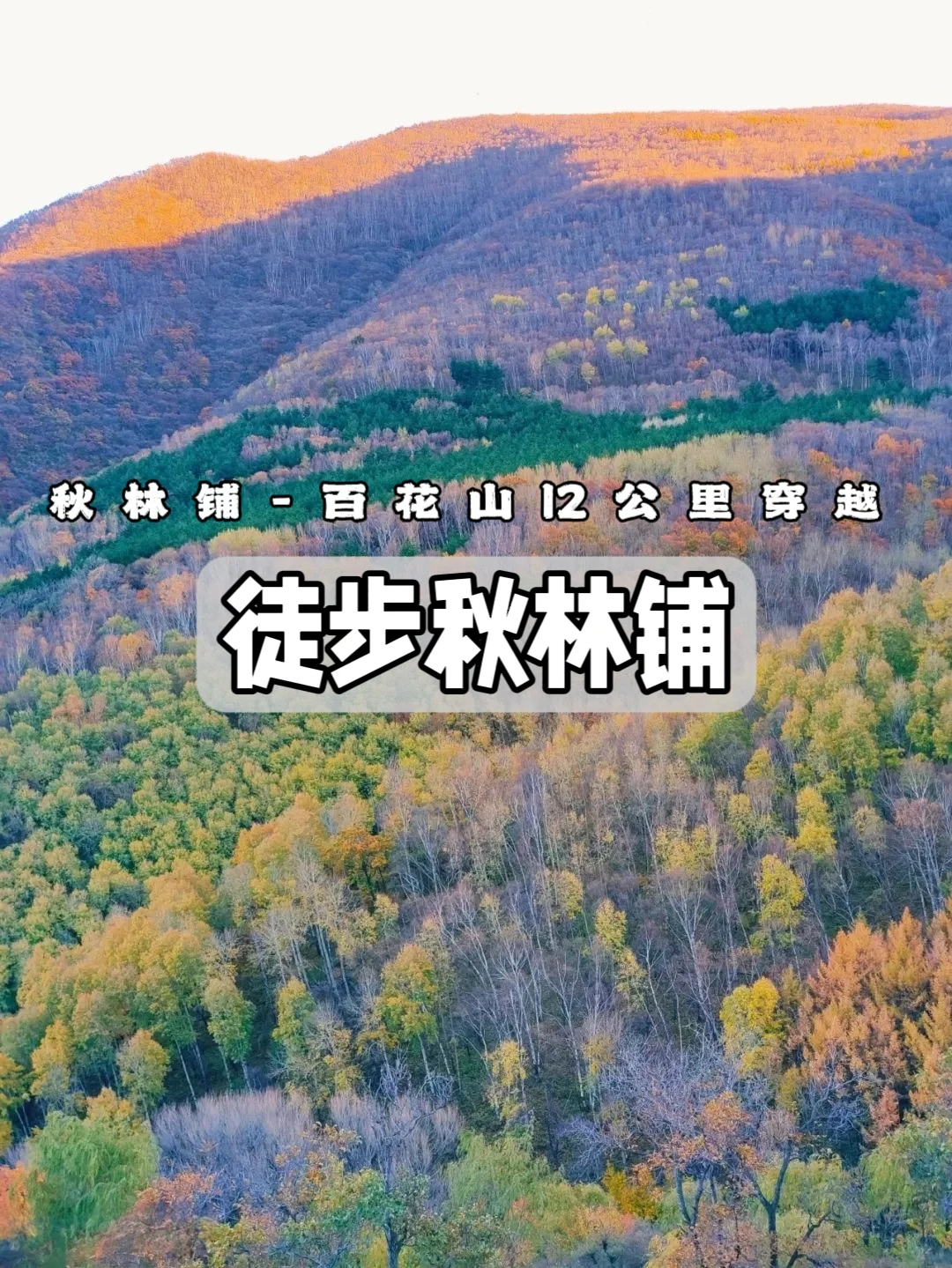 秋林铺-百花山，12公里徒步穿越！