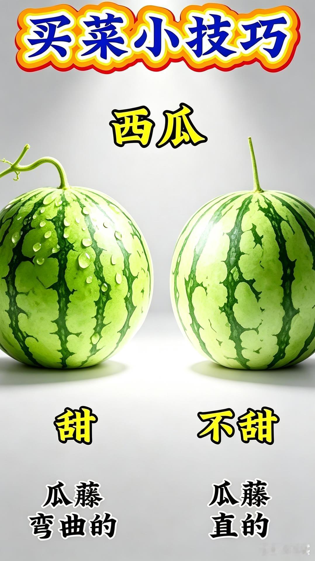 ​
生活实用小妙招
​
果蔬挑选小窍门 买菜避坑指南   买菜精选窍门 家常买菜