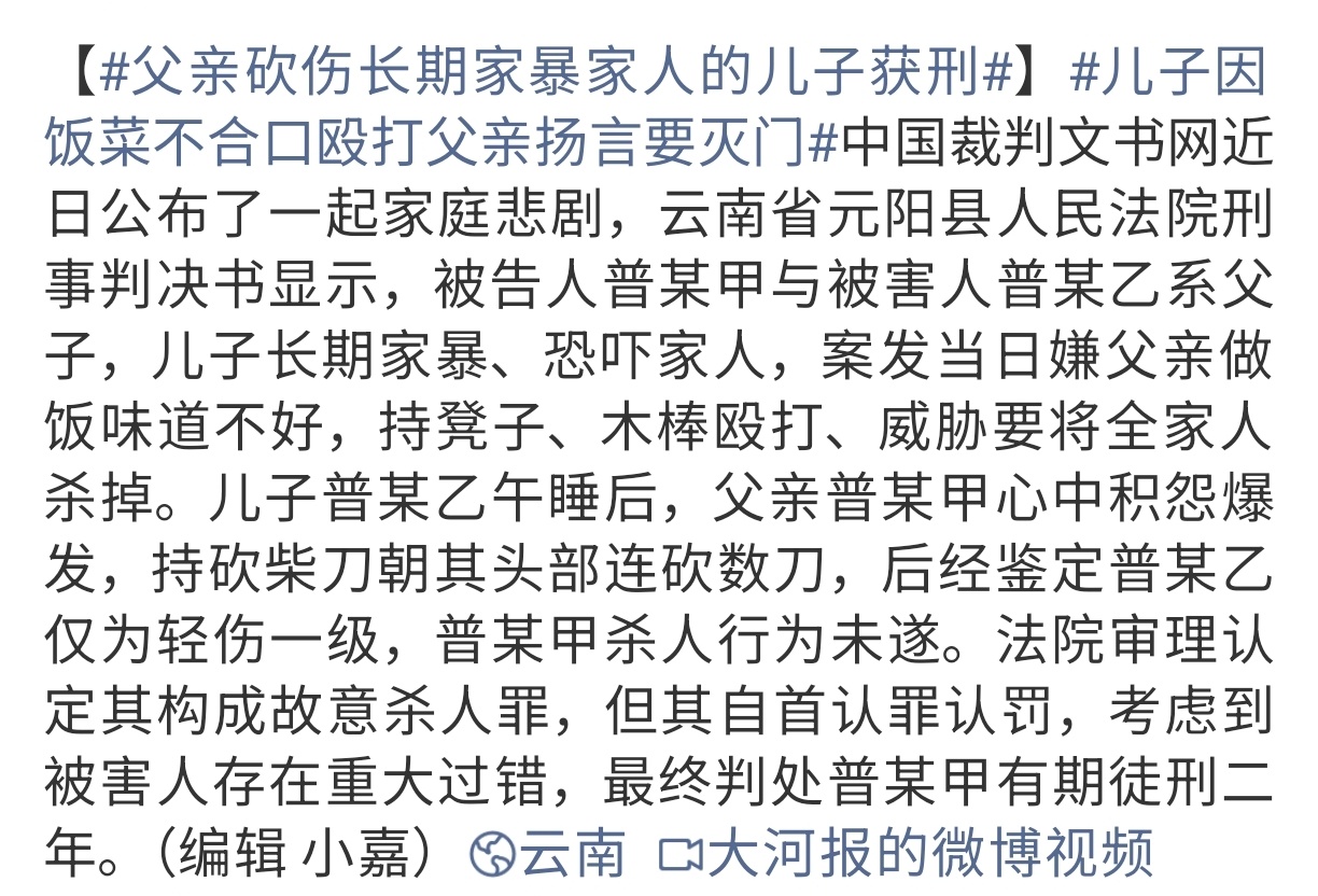 父亲砍伤长期家暴家人的儿子获刑那这儿子动不动就恐吓家人打家人怎么算？这也得管管吧