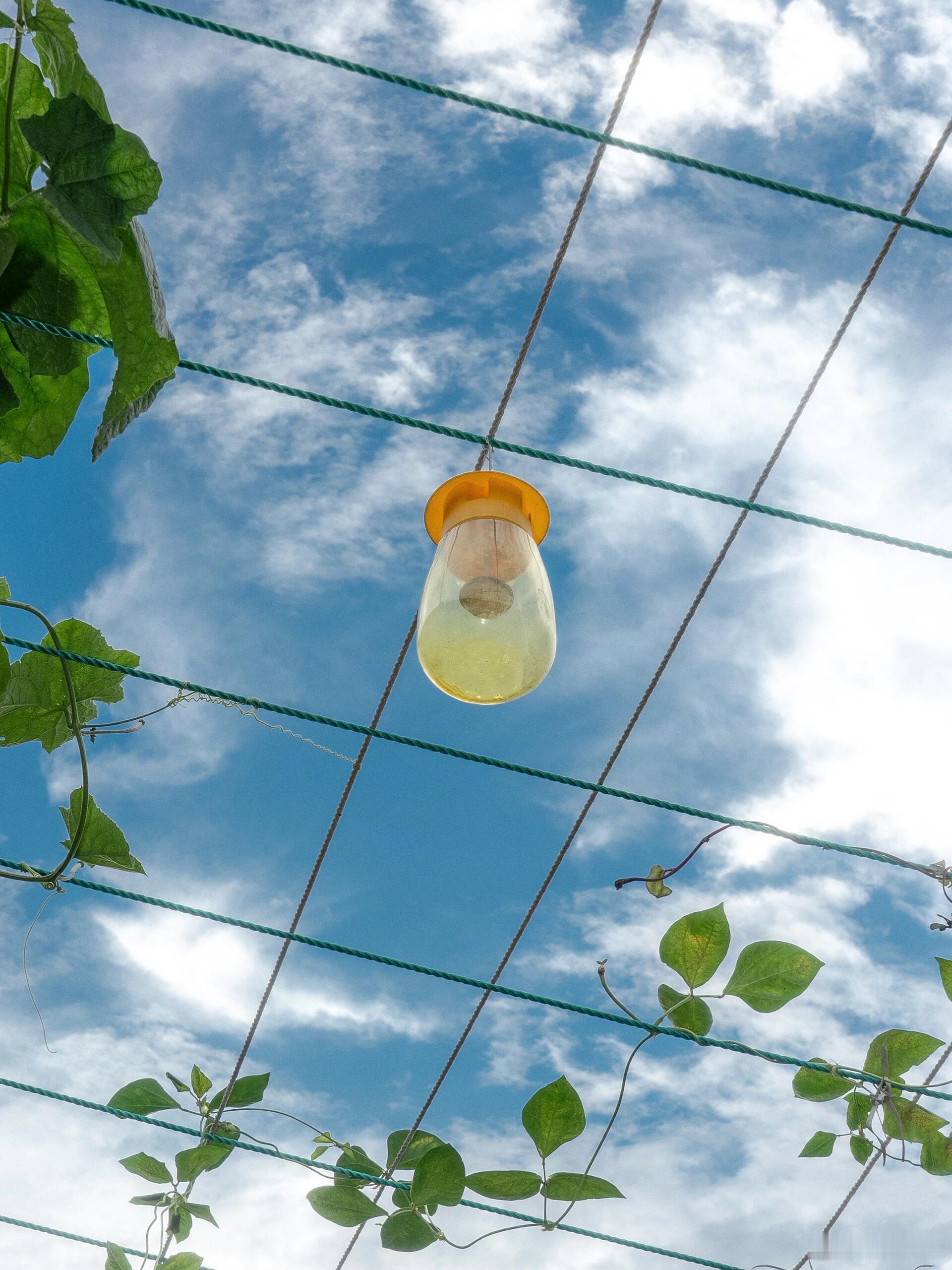 烂泥烂的好好的，你非要给它扶上墙；咸鱼躺的好好的，你非要给它翻个身；朽木朽的好好