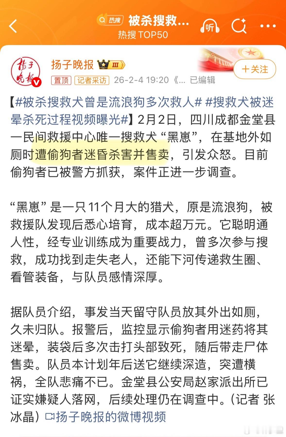 被杀搜救犬曾是流浪狗多次救人虽然吃不吃狗肉是个人自由，但这个事情恰恰说明一点，狗