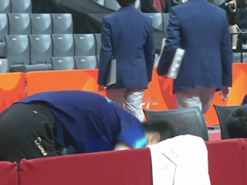 小莎出现[奶牛猫] ​​​