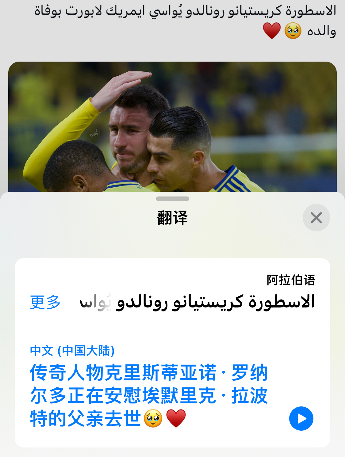 暖心罗罗🥺 