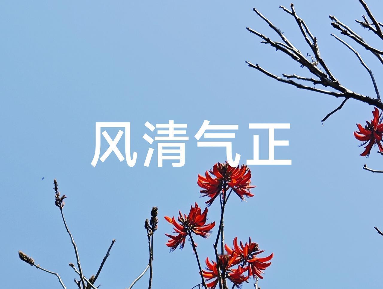 现在最大的问题是缺乏诚信，唯利是图。这是我近段时间经历的一次退费事件有感而发。诚