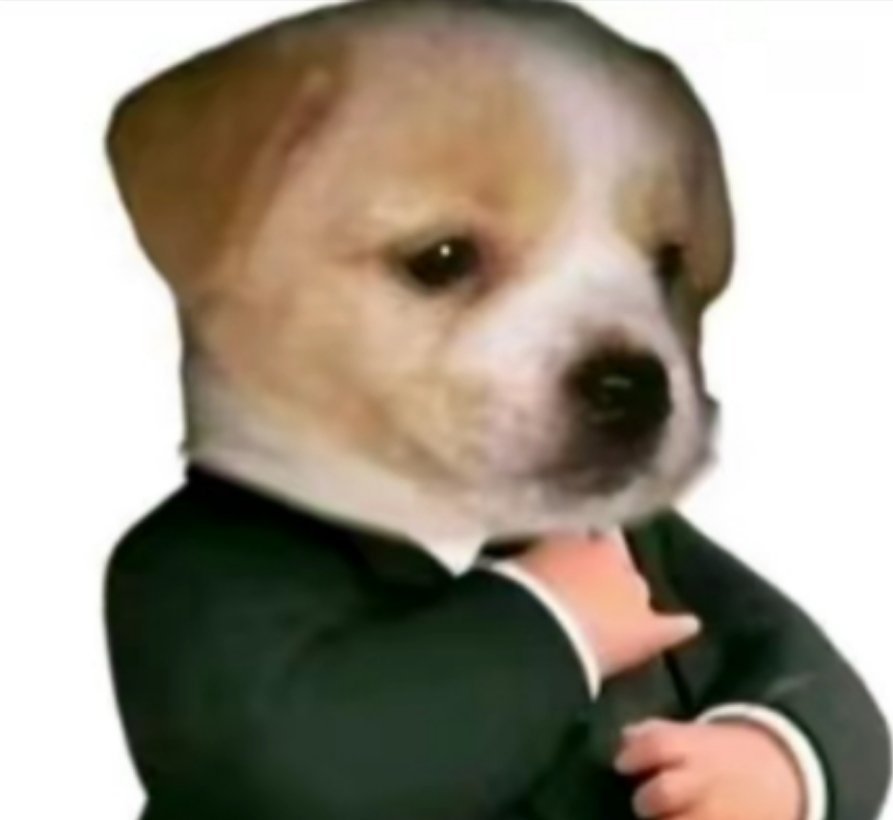 T1夺冠 多兰:佩子，哥没骗你吧，来了就夺冠 