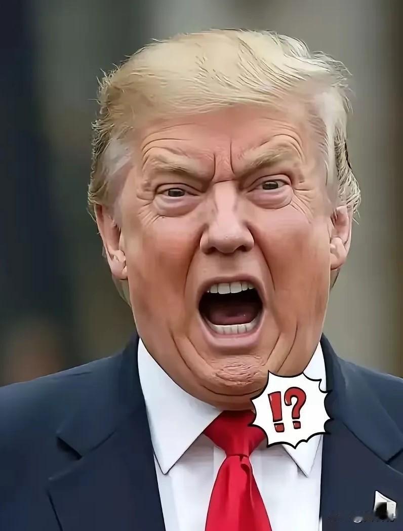 匈牙利选举新消息
4月12日，匈牙利正在选总理。可就在投票的节骨眼上，美国总统特