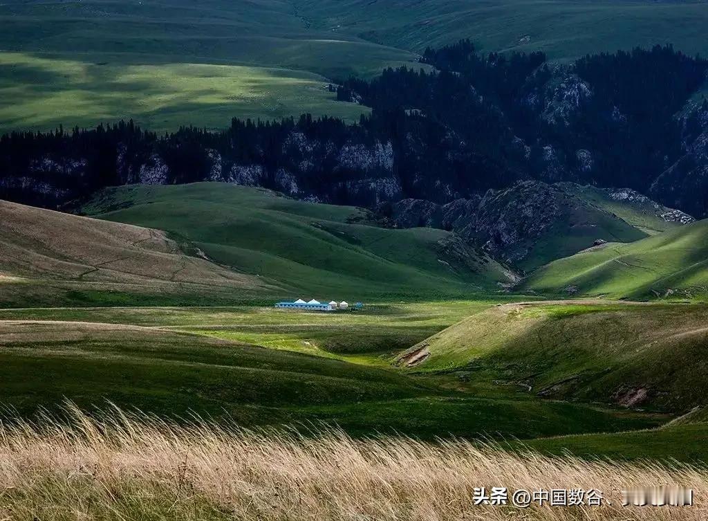 新疆五年内感觉会超过贵州！！！

如果贵州再不抓住机会努力一把，新疆未来五年还是
