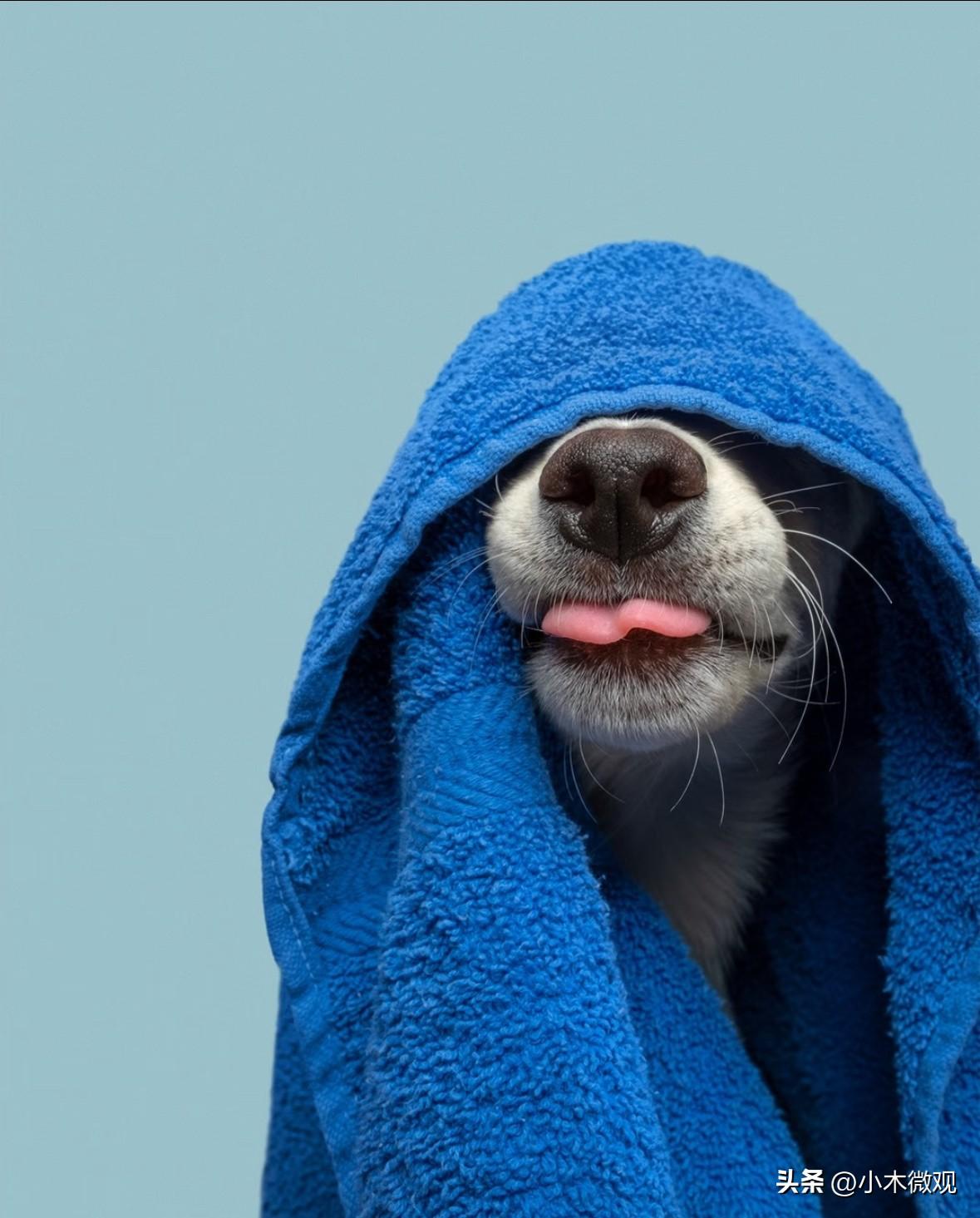 2026.03.14今天礼拜六休息，无聊得睡了半天玩了半天手机。好怀念家里的午后