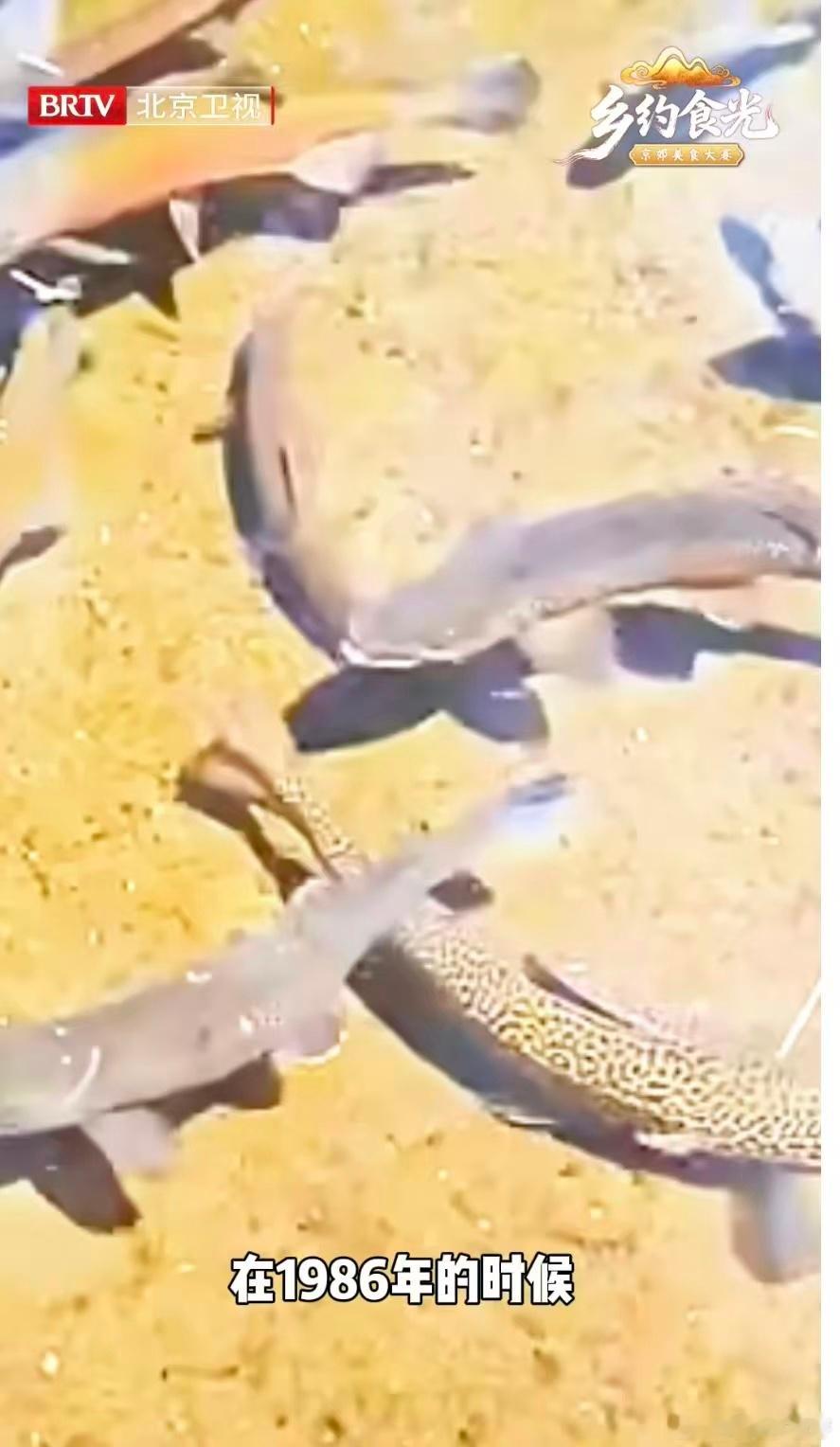 第一次见挑衅式文旅宣传文旅宣传新花样，房山这波挑衅式操作简直神来之笔。嚣张又可爱