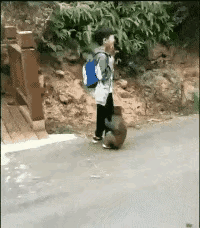 摆脱不了赖皮猴子，小朋友只能哭着找家长。有如此大胆的猴子，说明这里的人们对动物的