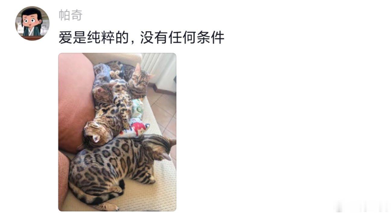-“没有付出代价的爱是没有重量的”“爱是纯粹的，没有任何条件”大家都好会说！！