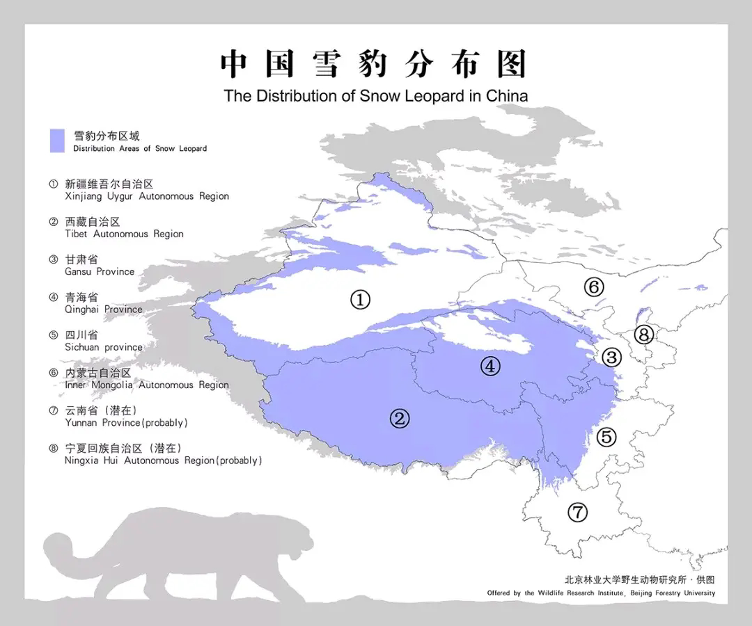 新疆一处沙漠惊现沙尘豹竟然出现在吐鲁番？估计是北边山上下来的。库木塔格沙漠景区不