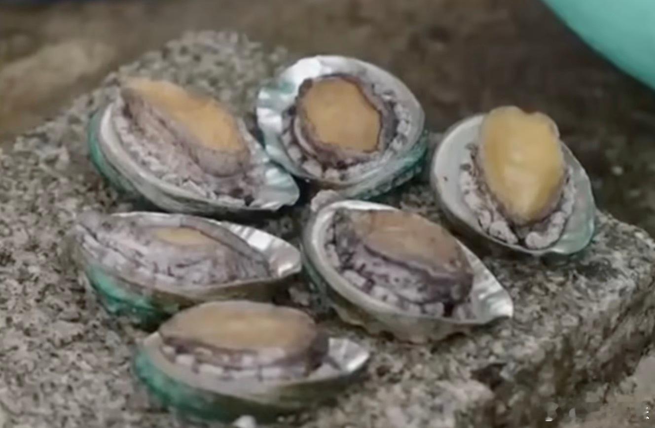 啊！互关的小逼逼… 