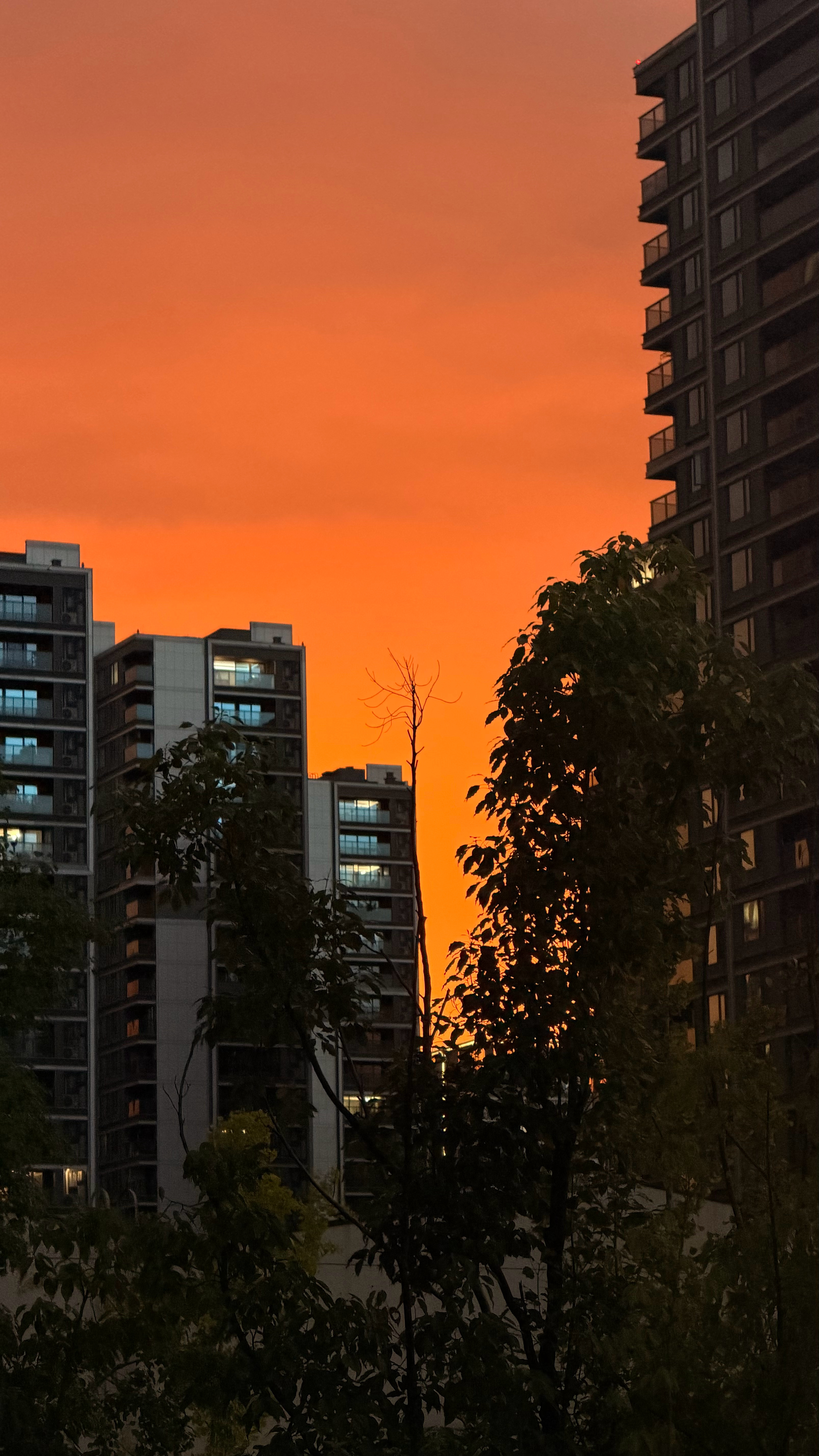 分享🌅雨后的晚霞～～～本来就很喜欢今天的视频了！现在剪辑起来更有力了！ 