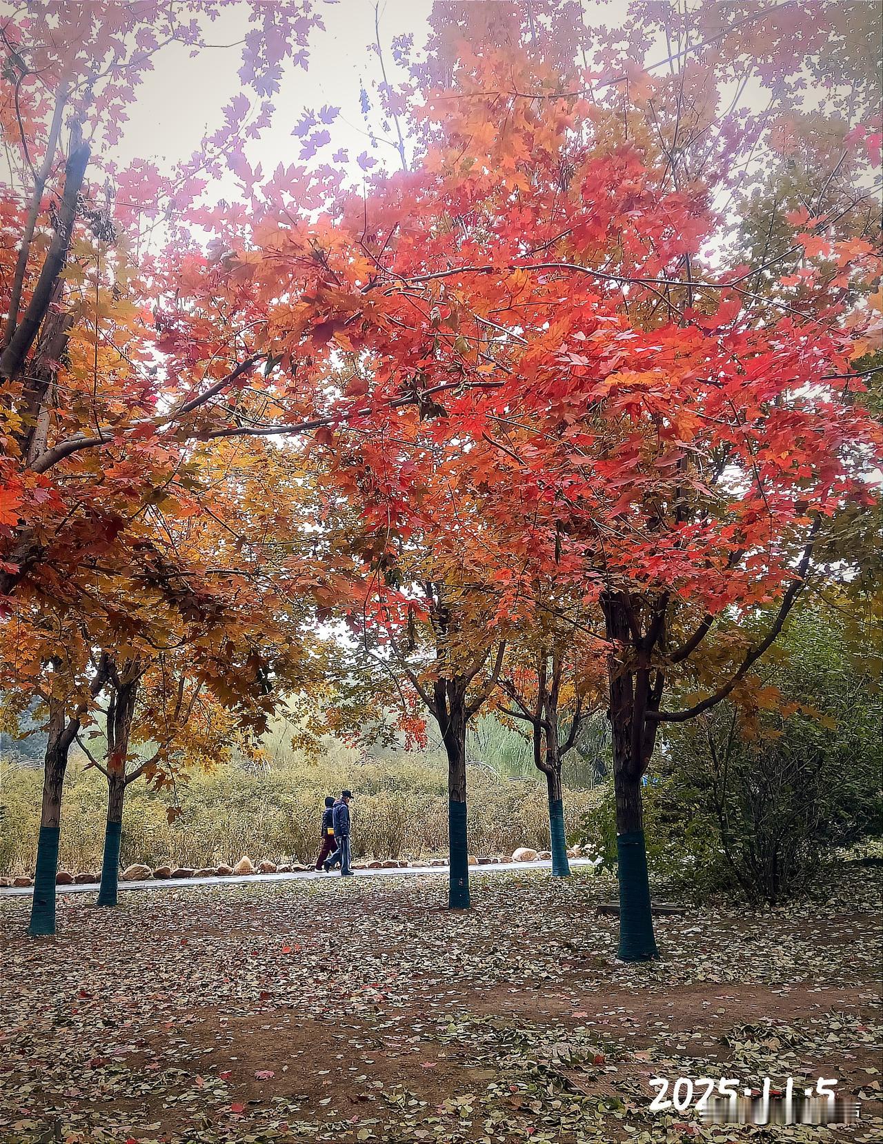 春秋两季可不是补位！那是长春最美的季节，色彩最灿烂的季节，气候最宜人的季节。春天