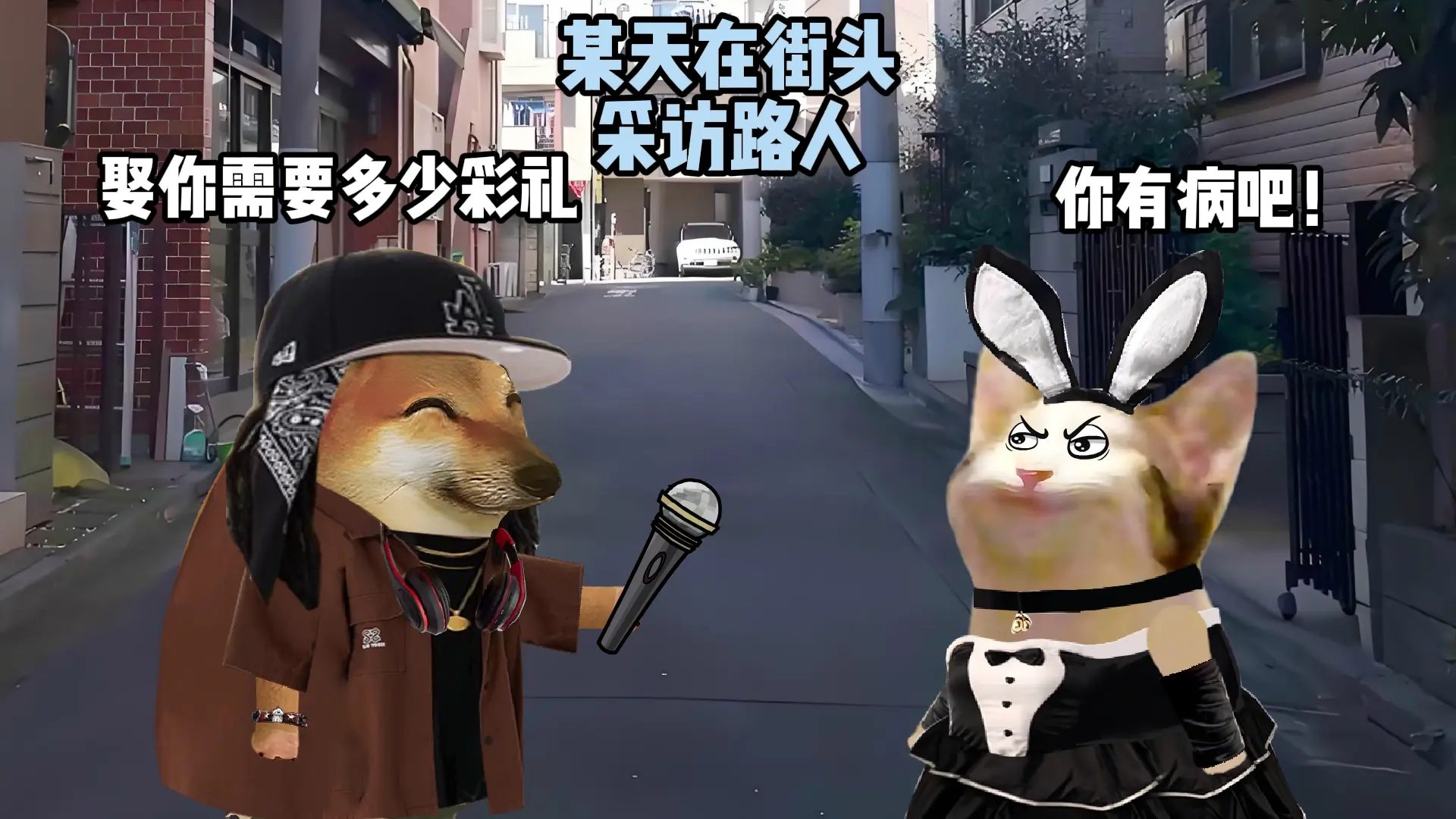 她是有节目的。