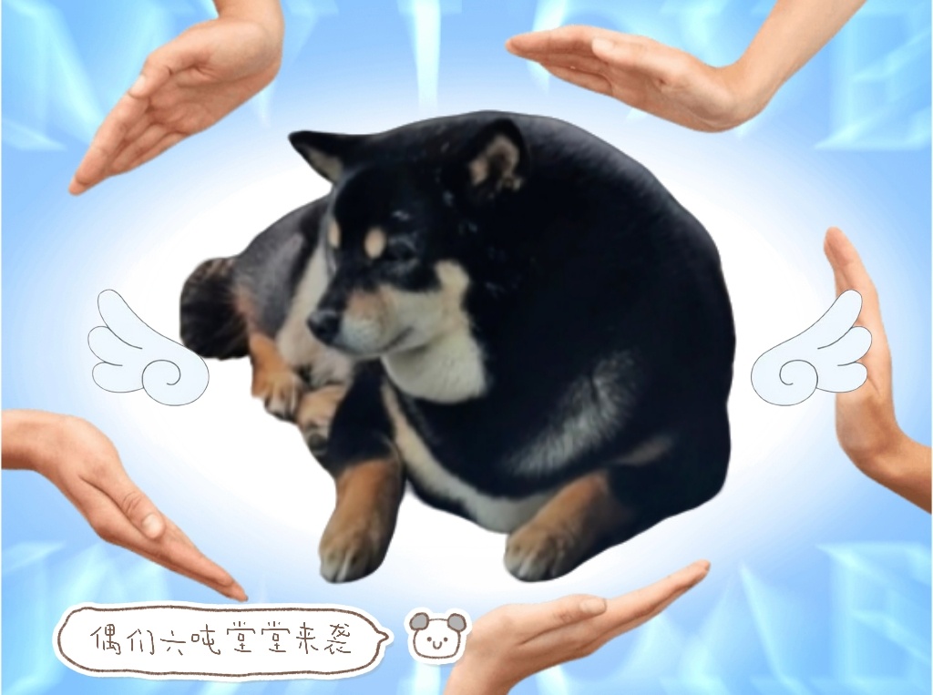 鹅鹅鹅 
