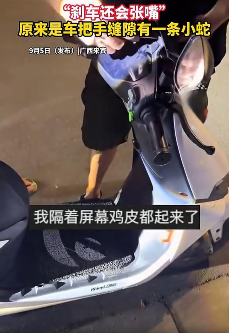 胆子真大！广西来宾上演惊险一幕！男子骑车前检查车辆，意外发现电动车刹车缝隙藏着一