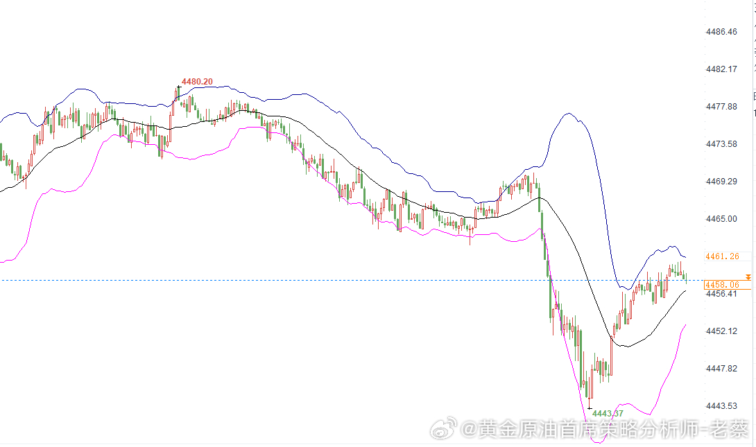 黄金提前布局安排：4440位置直接多，止损4430，目标4488。(投资有风险，