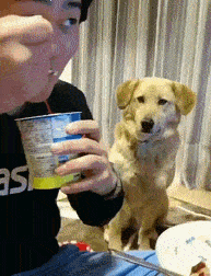 吃的那什么玩意儿
狗才稀罕