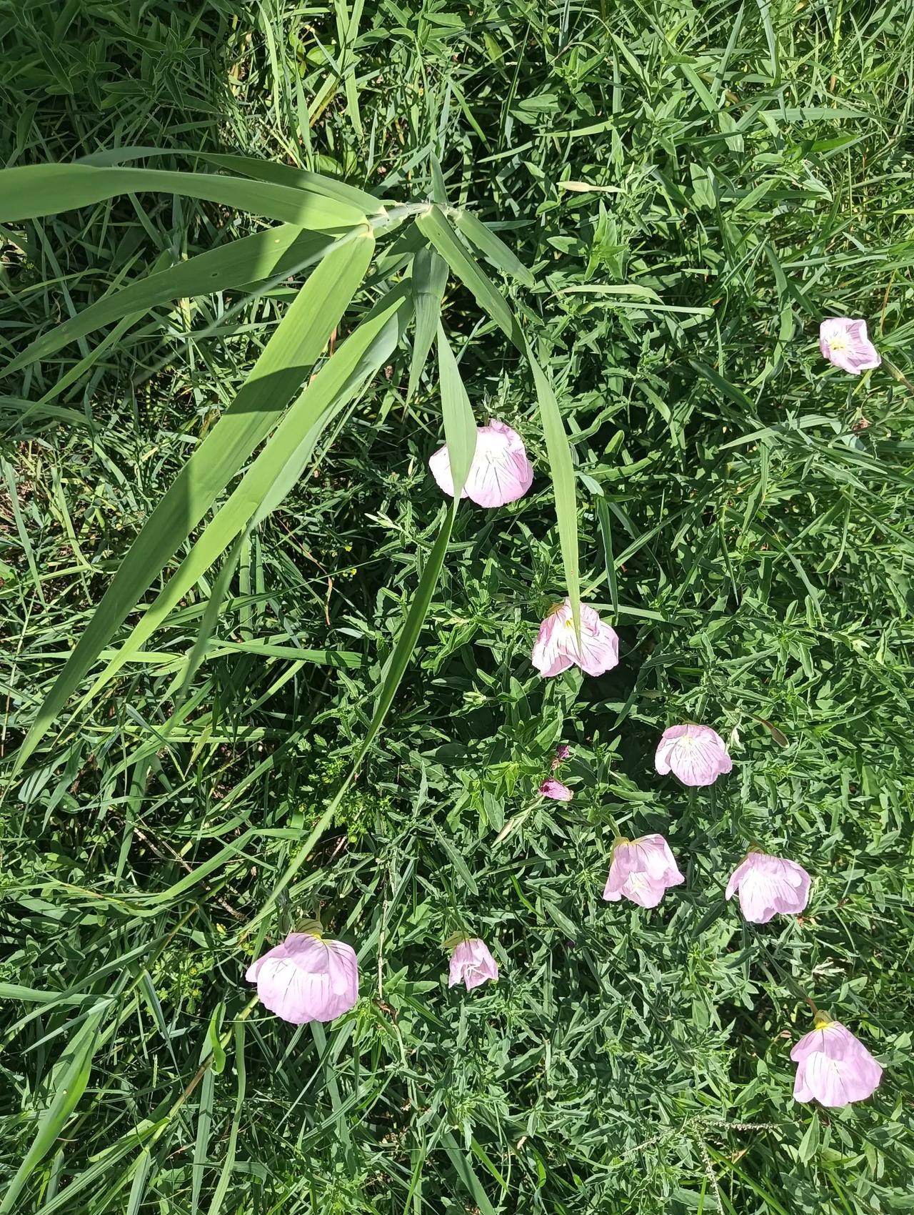 分享城市新鲜事这个世界没有那么多的如果，这个世界也没有那么多的重来！！这个世界需