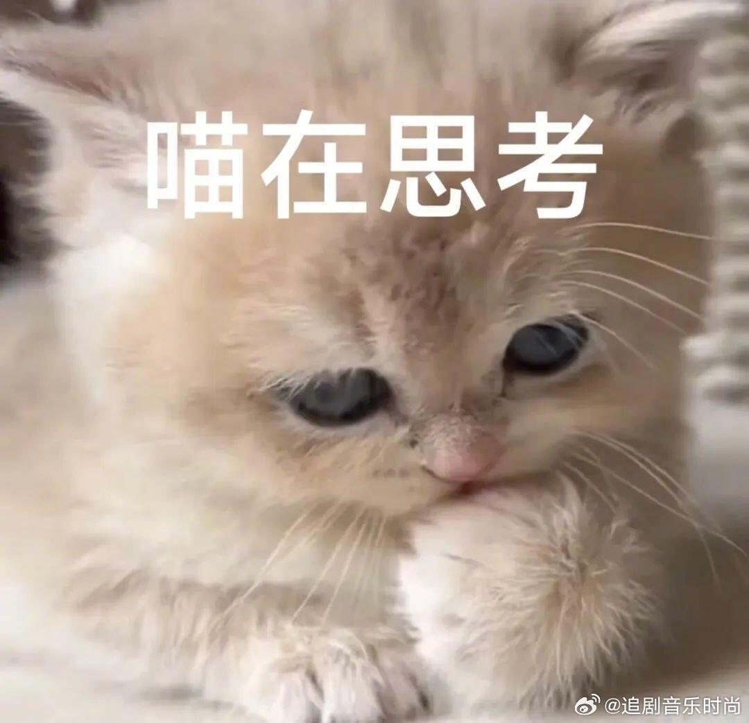 头一次见这样结拜 几个创业者围着白板，画完蓝图后握了握手：“就这么定了，输了一起