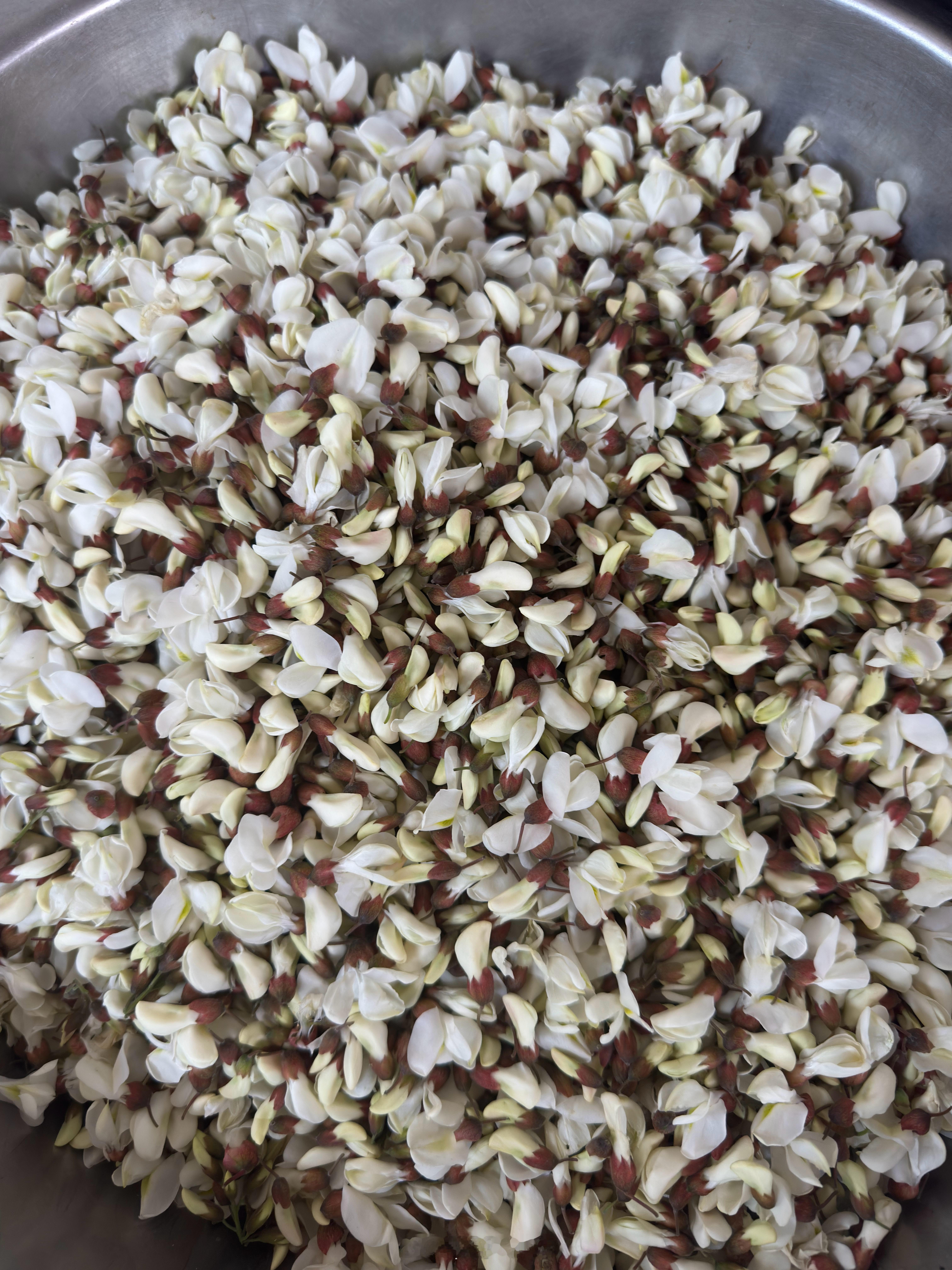 又到了吃槐花的季节😋，亲戚给了一大盆，爽。好奇大家都吃过吗？ ​​​