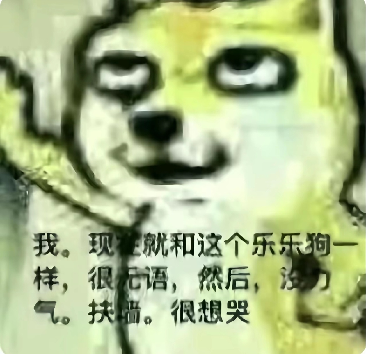 我。现在就和这个乐乐狗一样，很无语，然后，没力气，扶墙。很想哭 ​​​