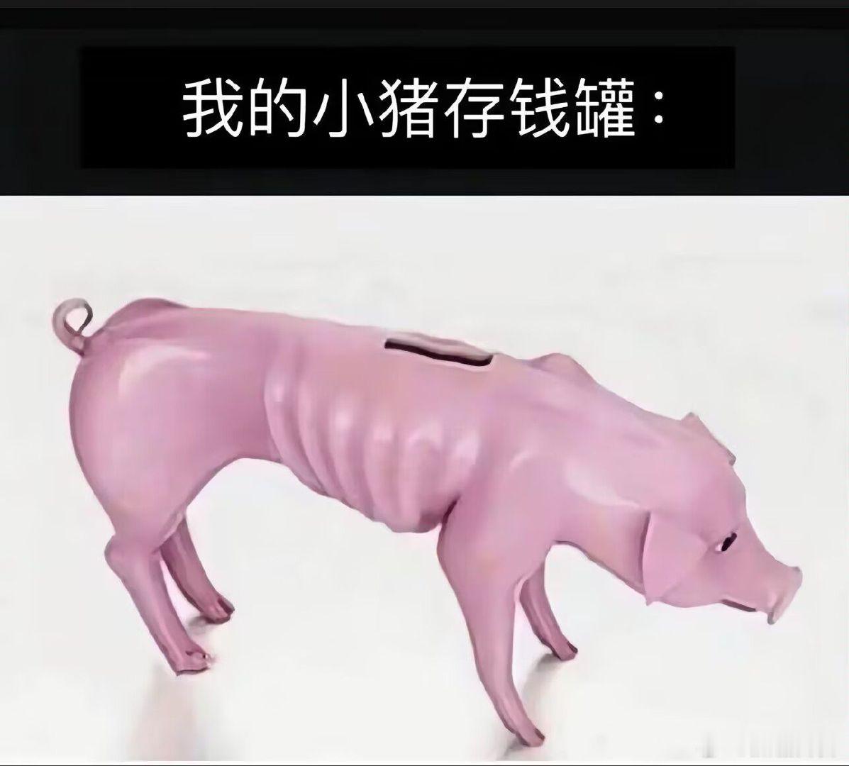 我的理财观念： 