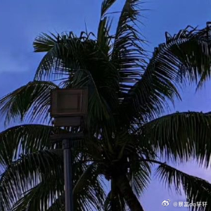 王鹤棣  💜‎阳光‎信用 以热爱祖国为荣、以危害祖国为耻。以服务人民为荣、以背