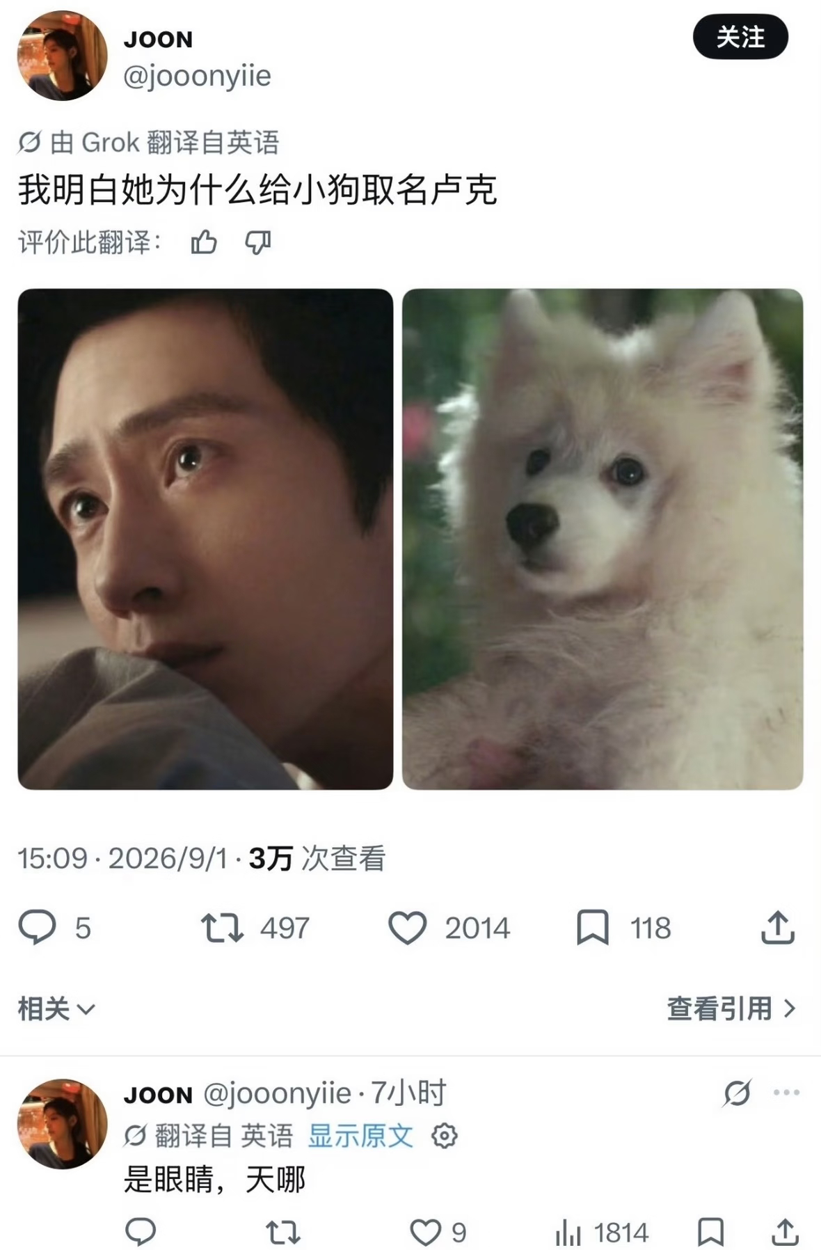 尚之桃给狗取名卢克的原因栾念和卢克看尚之桃的眼神 尚之桃给狗取名卢克的原因，会拿