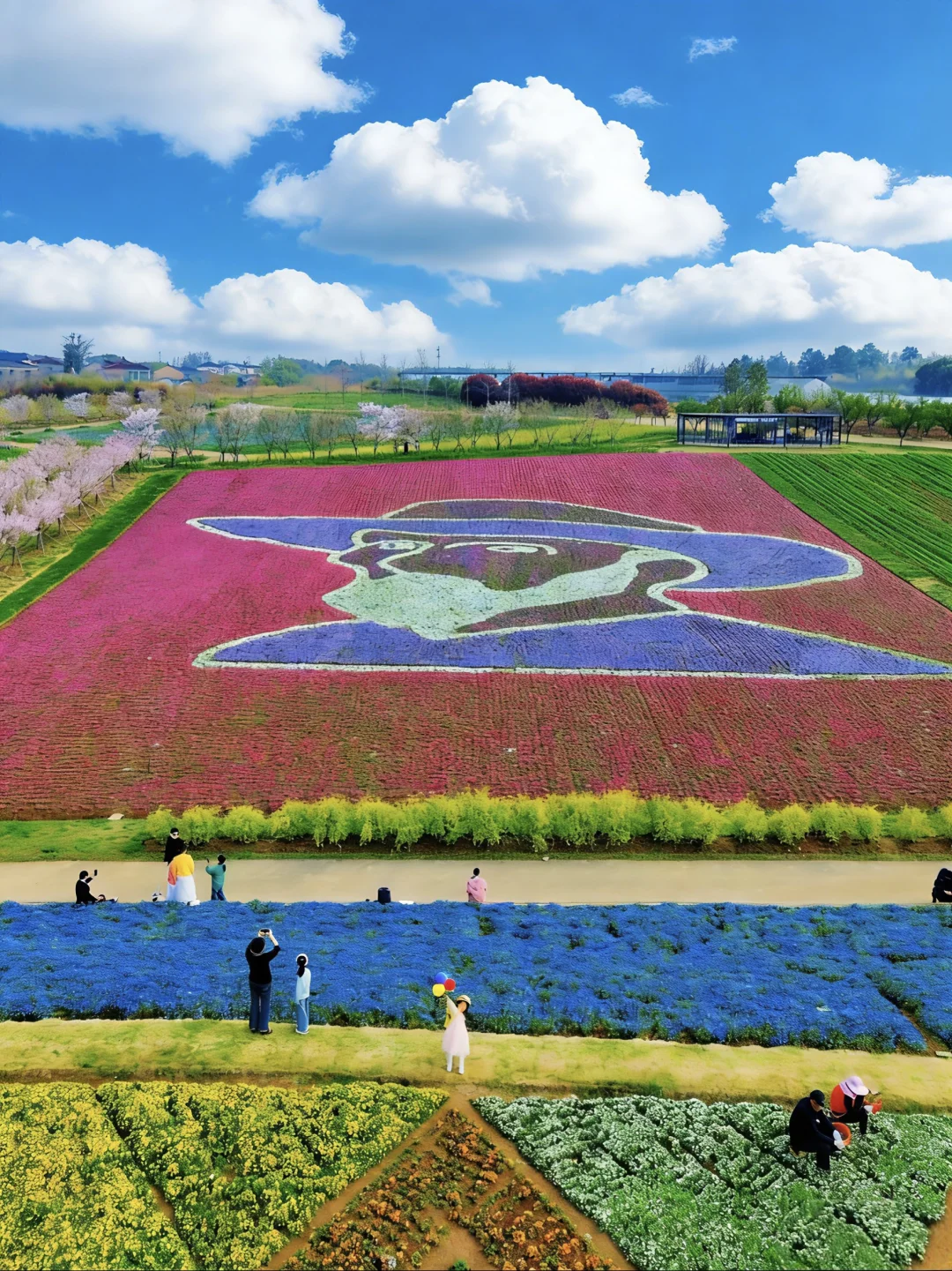 南京🚗1h｜一不小心闯入了春日油画中