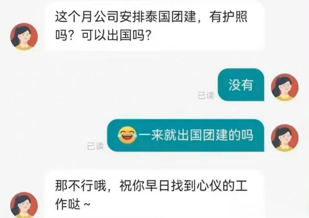 HR：这个穷比没什么钱，出了国只能卖器官，换个人骗[doge] ​​​