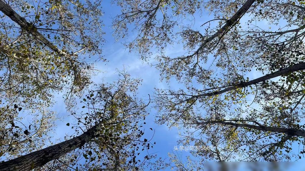 朱芊曦把孙颖莎逼到12：11，韩乒的底牌亮了一半。
第二局局末，朱芊曦攥拍的指