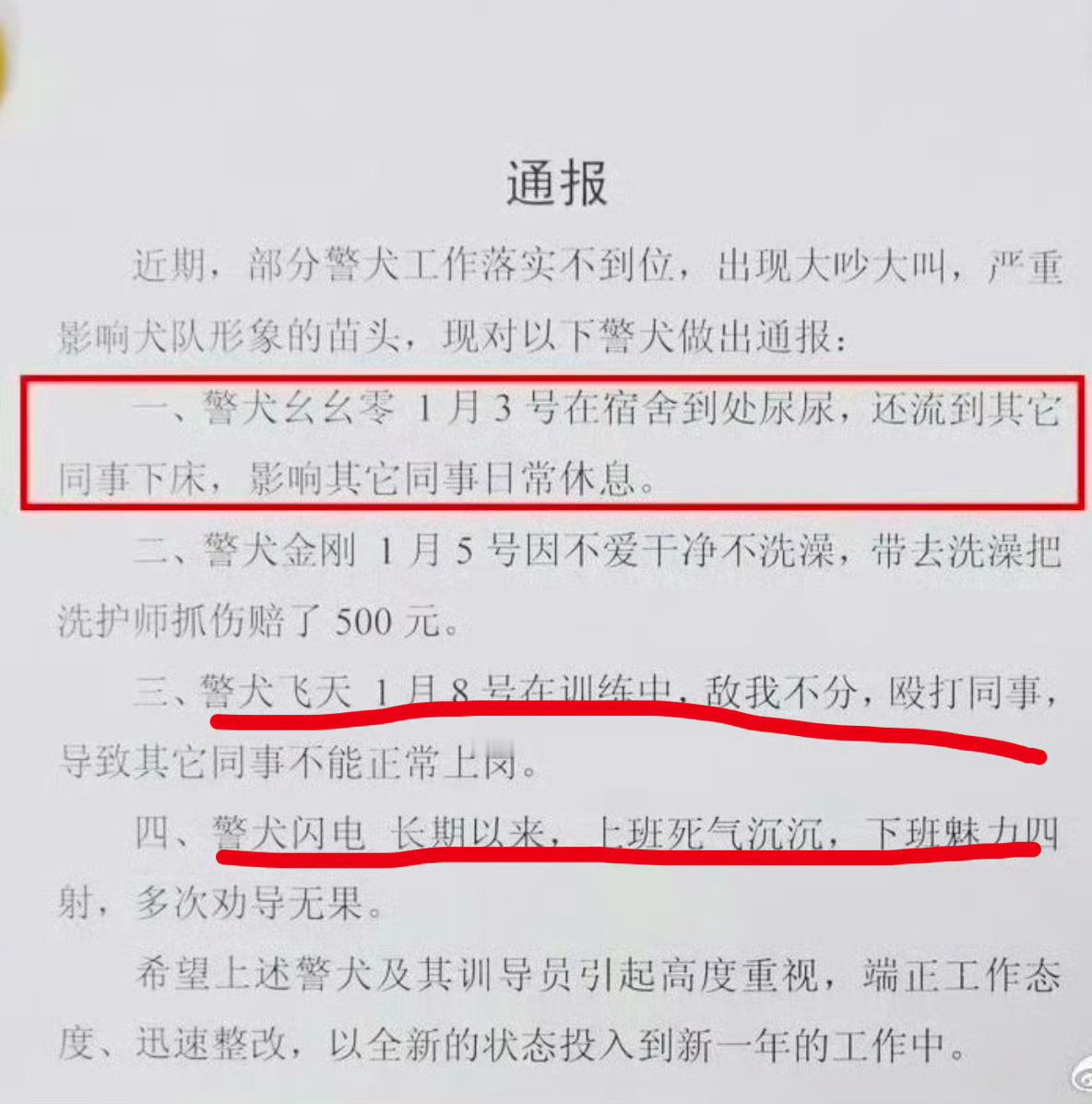 警犬在战友床上尿尿连续4周被通报 该通报的通报，该表扬的表扬。[哈哈] 