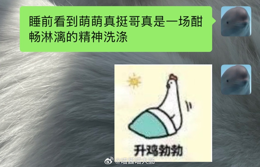 真挺哥我宣你