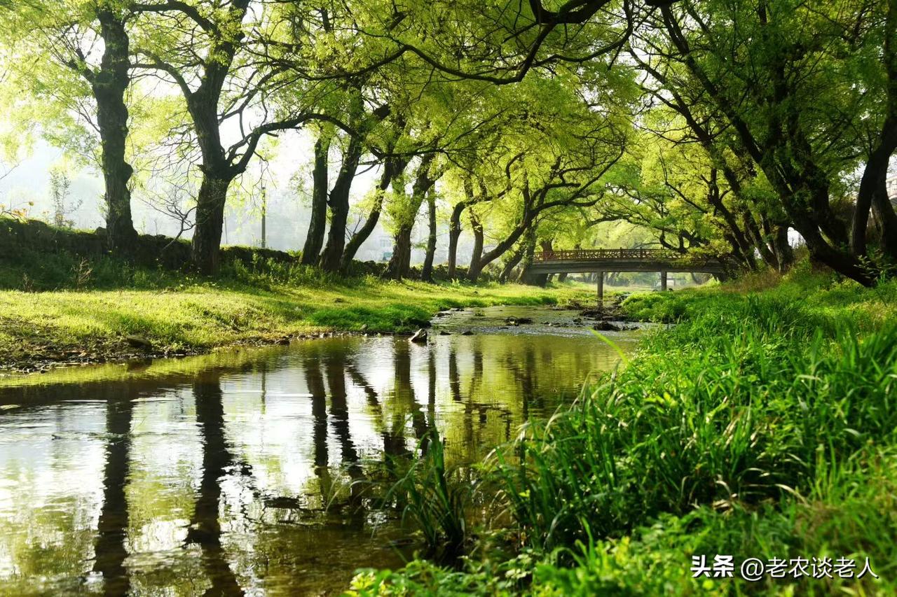 农民存多少钱，可以体面养老？

这个问题，像一根刺，扎在无数农村儿女的心上。
