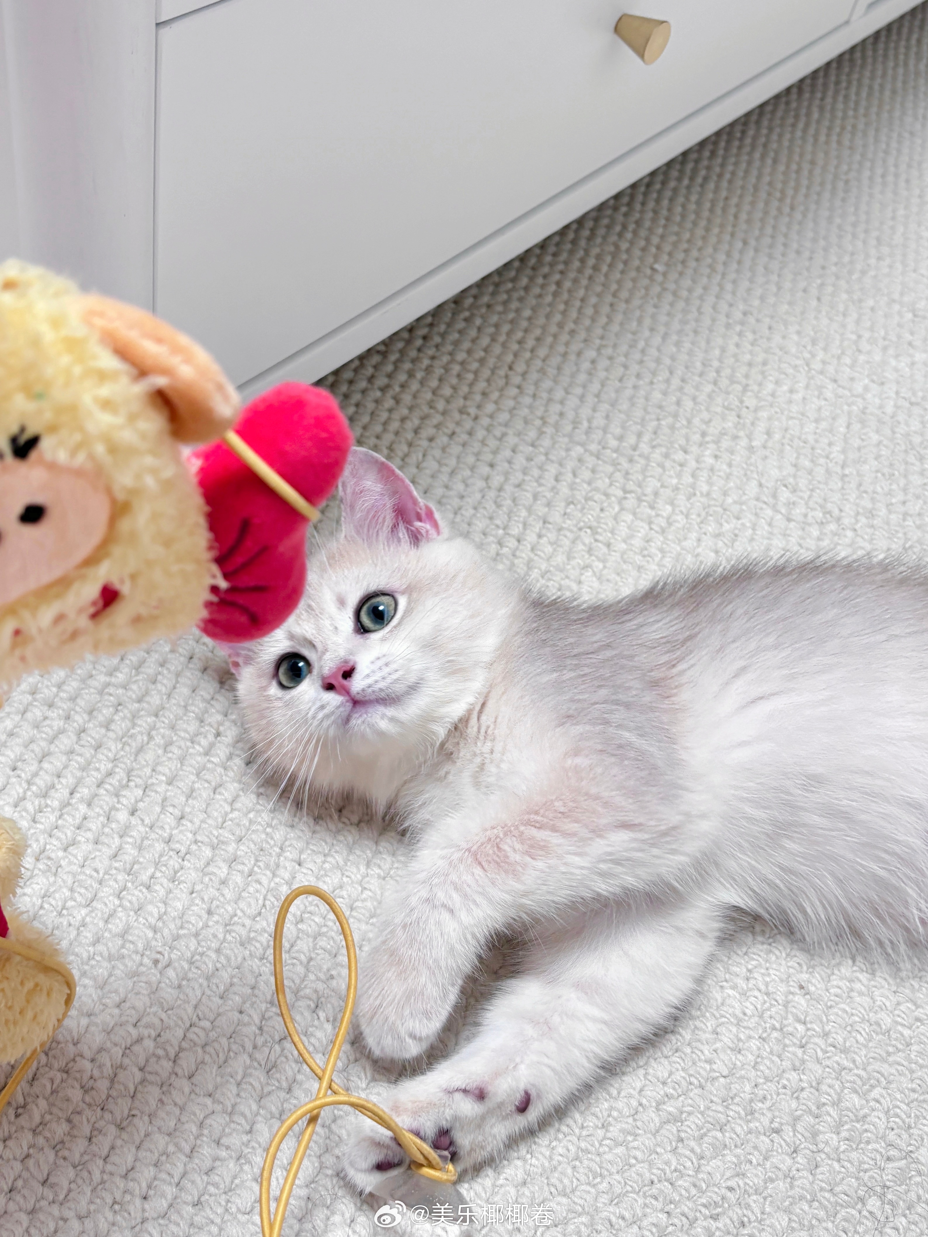 想当小蘑菇，什么都不用干只用撑伞发呆🍄 ​​​