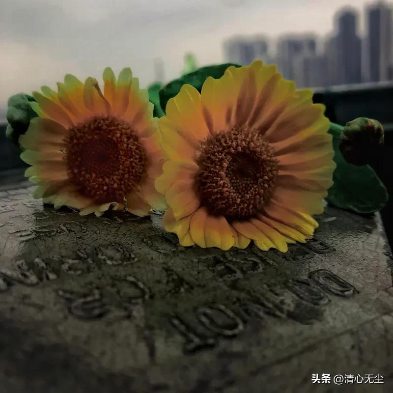 去世朋友和亲人的微信记录你们删除吗？

我一个同学2023年去世的，我和他对话信