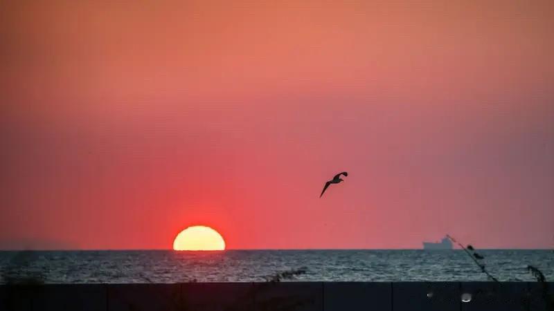 现在这战争啊，和以前那真是天差地别。以前打仗靠冲锋，一群人往前冲，那场面虽壮烈，