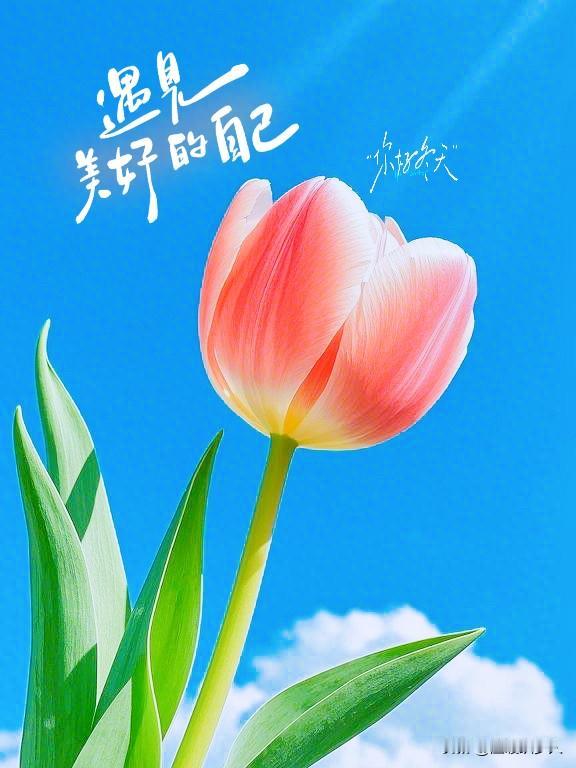 长大了才知道，
“你不去争取，
老老实实的，
最后连剩饭都轮不到你。”

小时候
