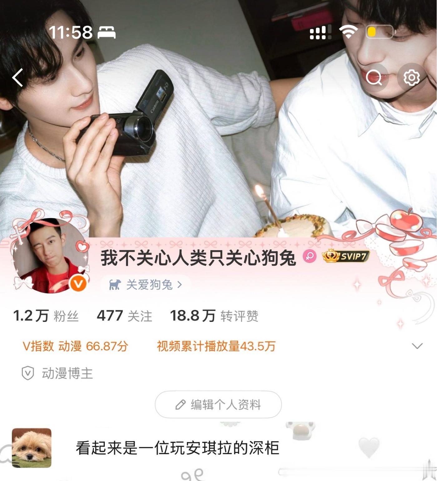 我是安琪拉 