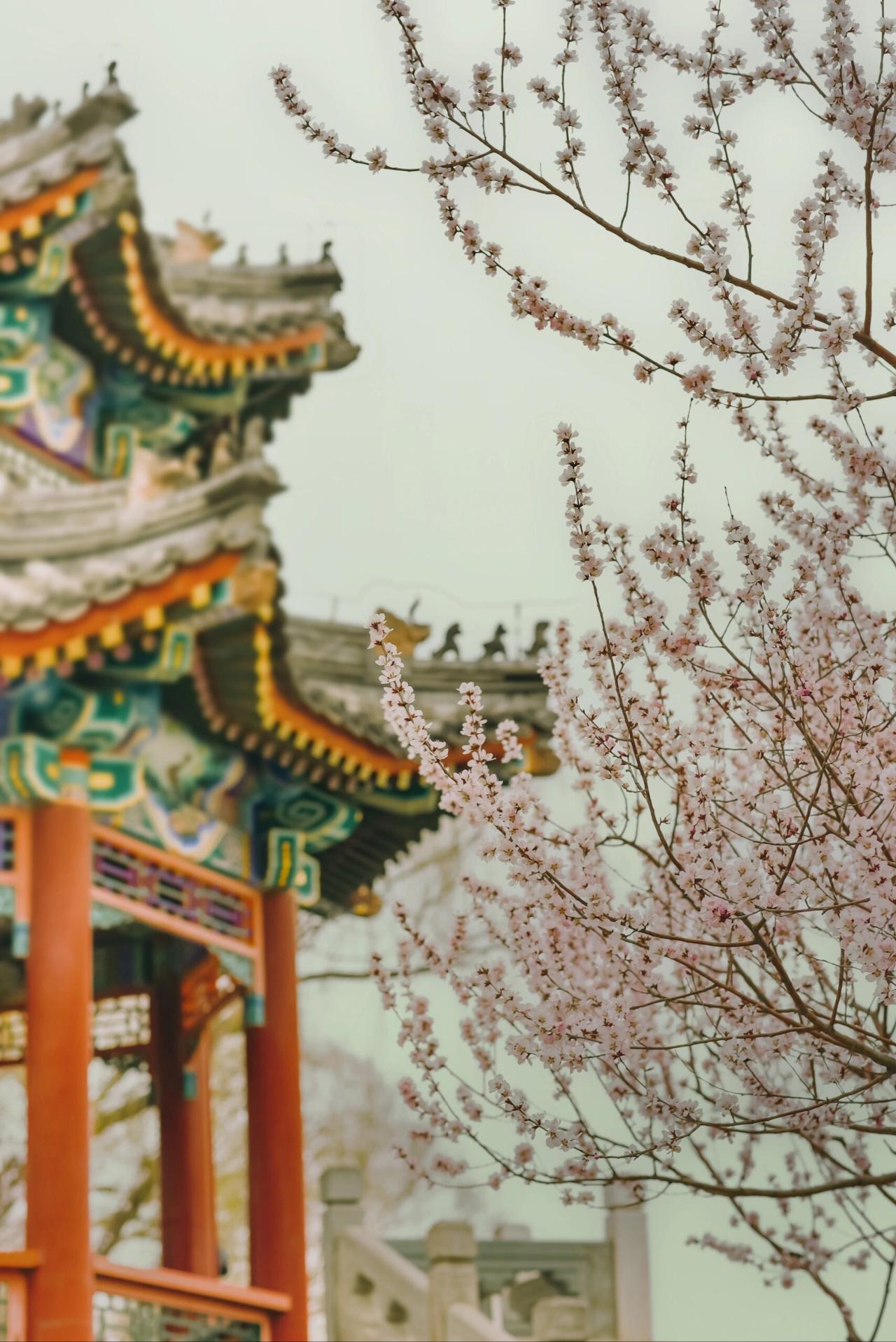 晒图笔记大赛北京的美食