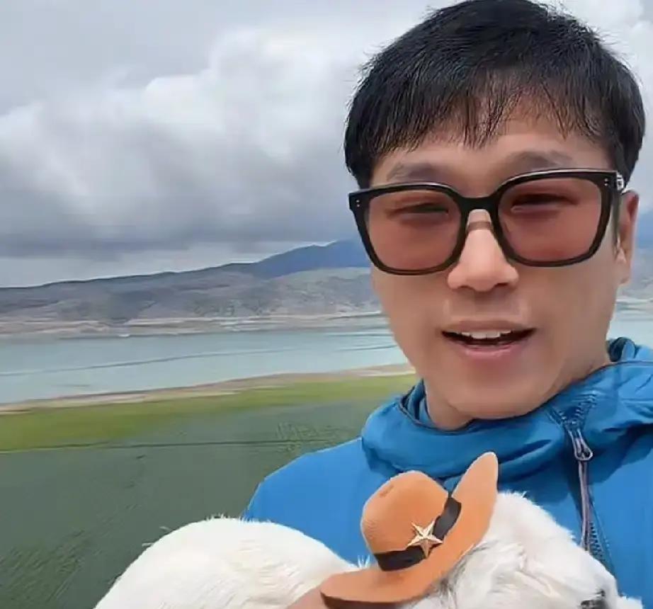 直播从几万人掉到一万人。
风景一点没变。书换成了零食。明明还是那个明明。
但屏幕