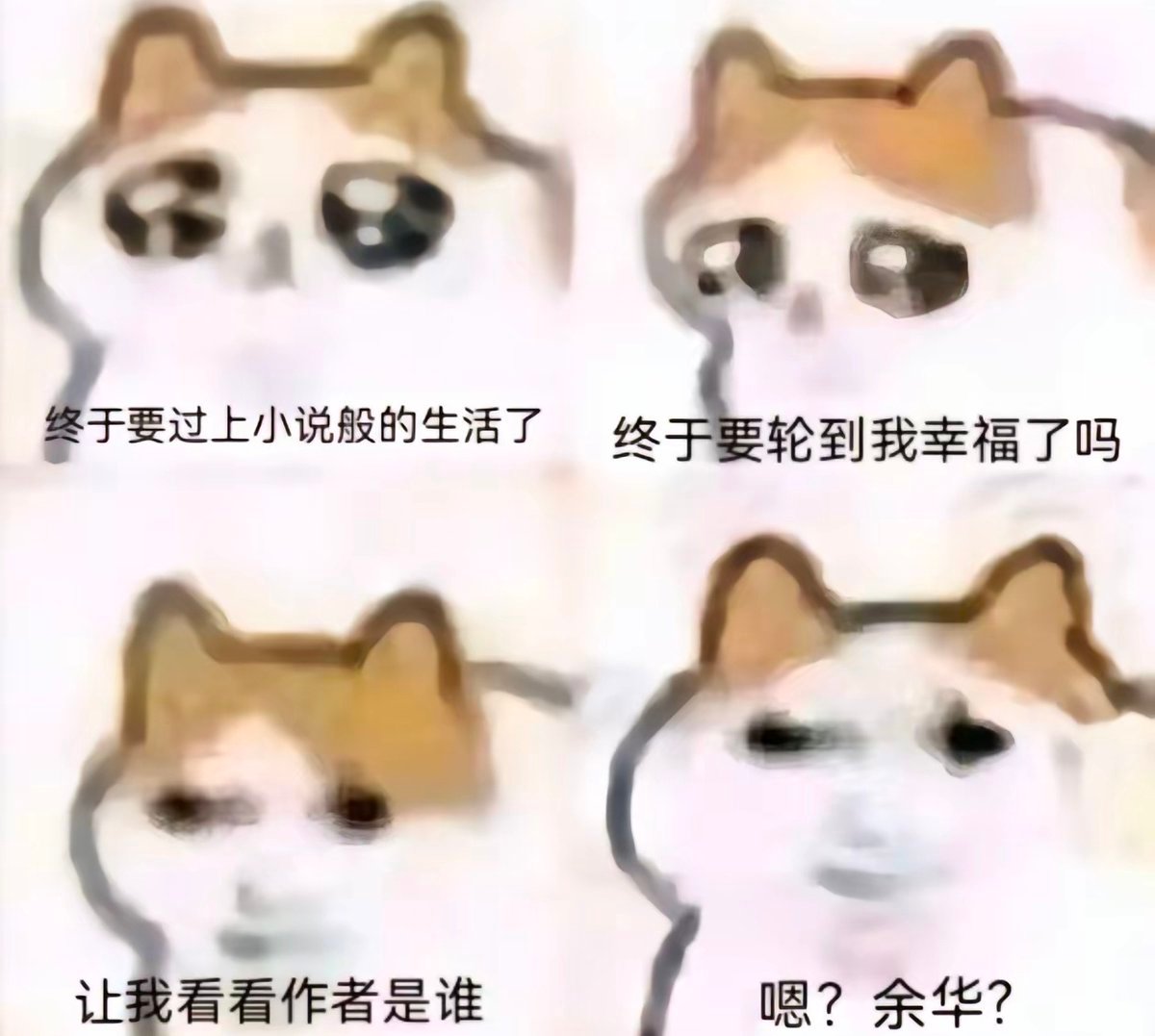 ？ ​​​