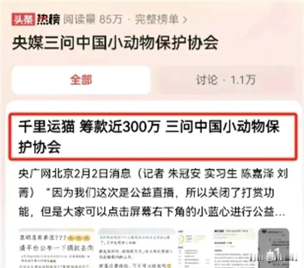 近日，昆明动物园“猫猴同住”事件引发广泛关注。两只备受煎熬的猫咪终于被救出，但随