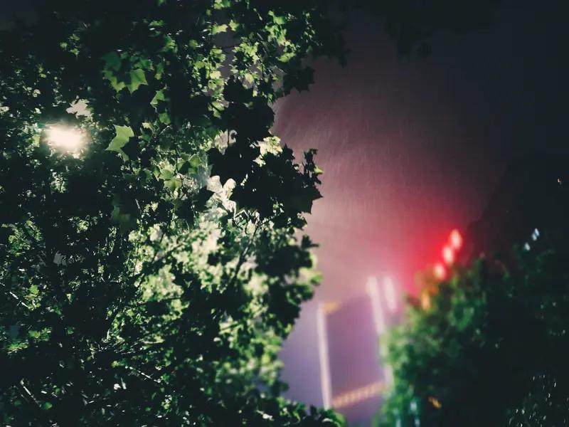 感怀
人生何处品香茶，浪迹江湖不见家。
只合孤衾吟夜月，犹如散叶落天涯。
镜前白